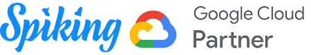 Spiking · Google Cloud Partner