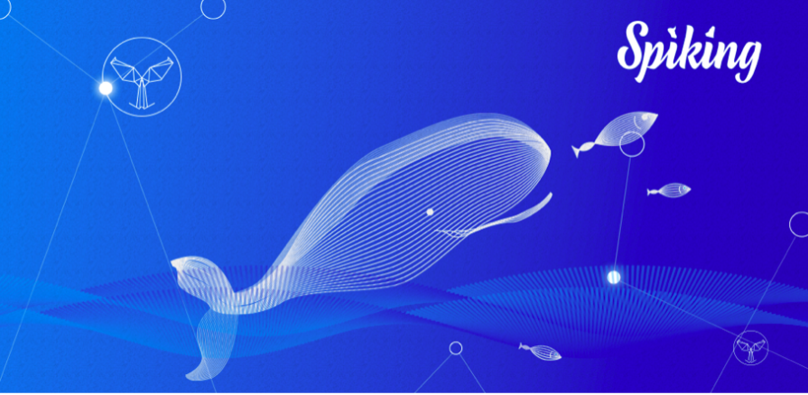 Taking A Look at Spiking’s Platform